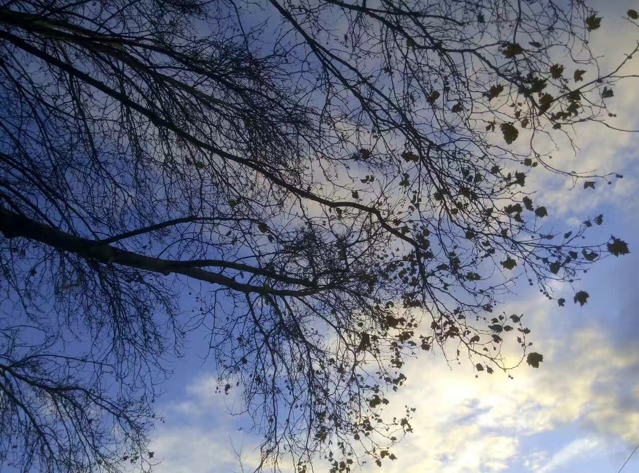 英语关于未来十几年的变化,给我们带来很多益处的英语