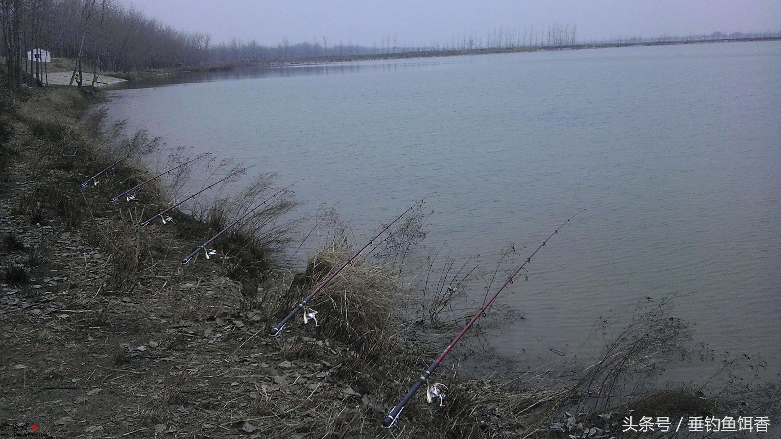 海竿钓底最简单的线组,海竿钓大鱼的线组配置图片