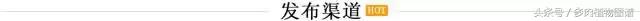 离家一个月20天,离家一个月养猪