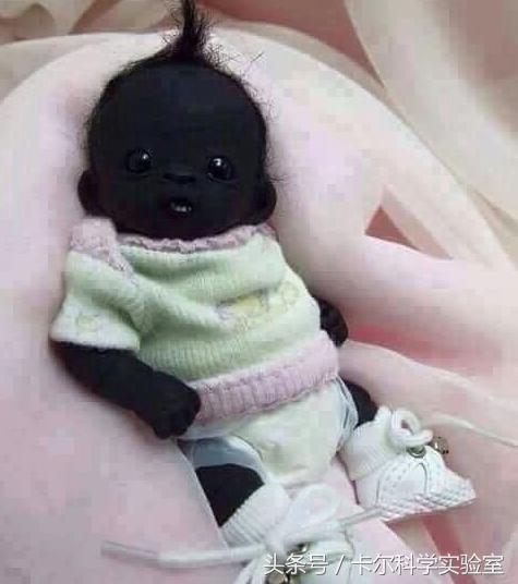 你的黑，不叫黑，带你见见最纯粹的黑！卡尔科学实验室第327期