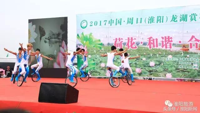 中国淮阳荷花节游龙湖赏荷花,欢迎大家来淮阳龙湖赏荷花