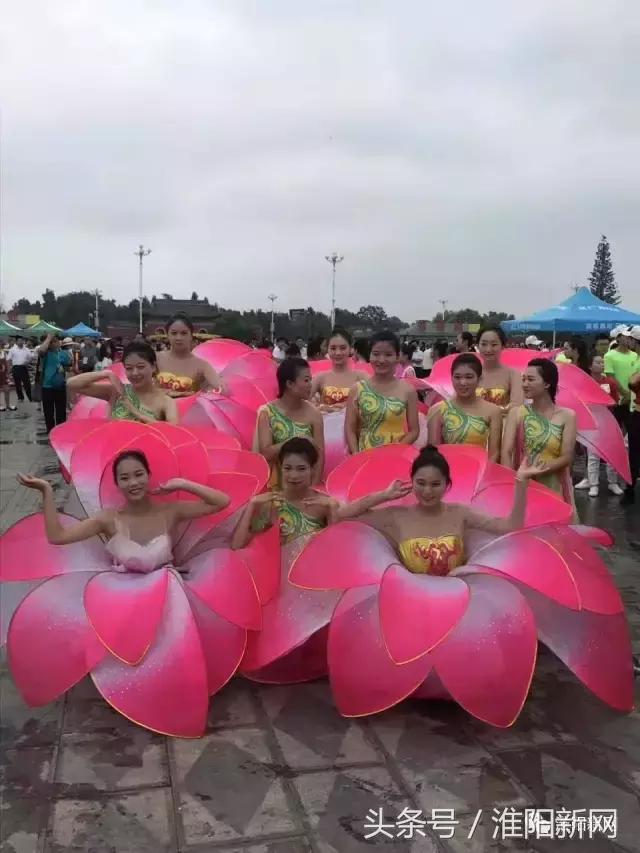 中国淮阳荷花节游龙湖赏荷花,欢迎大家来淮阳龙湖赏荷花