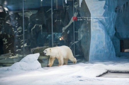珠海长隆海洋王国游玩攻略一日游,珠海长隆海洋世界游玩攻略