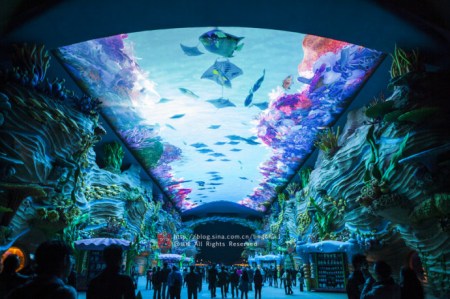 珠海长隆海洋王国游玩攻略一日游,珠海长隆海洋世界游玩攻略