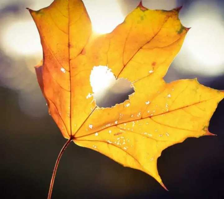 年少无知，一个单纯男孩儿的情殇梦魇