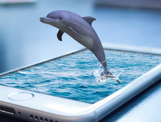 手机店回收二手手机多少钱,聚易得专业废旧二手手机回收