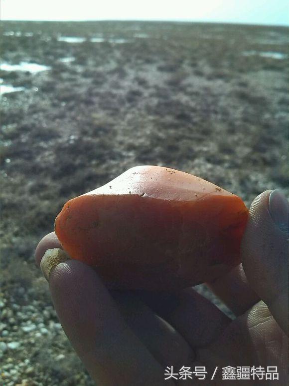 去新疆戈壁滩上捡金丝玉石头视频,宝石光金丝玉戈壁滩