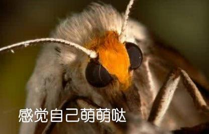 这种新型涂料，让手机屏幕和“诡异的反光”说再见