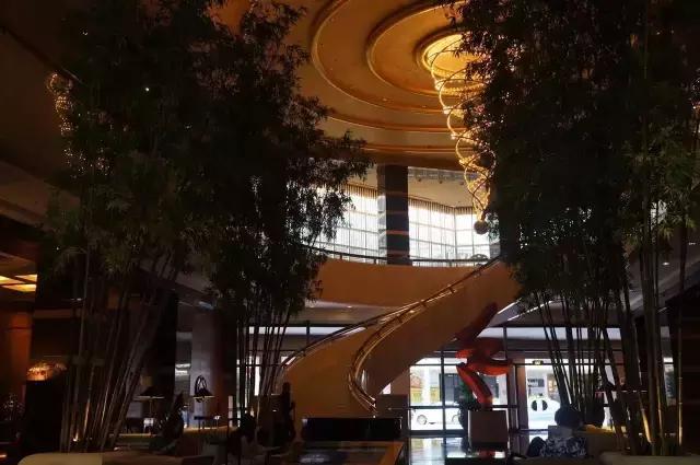 在新加坡吃日本料理,新加坡美食之旅