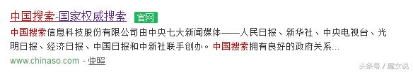 中国最有权威的搜索平台,中国搜索是权威搜索平台吗