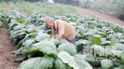 守初心担使命助推脱贫攻坚,脱贫攻坚路上的老党员