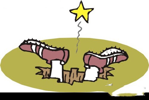 货代到底多少坑,货代如何避免被坑钱