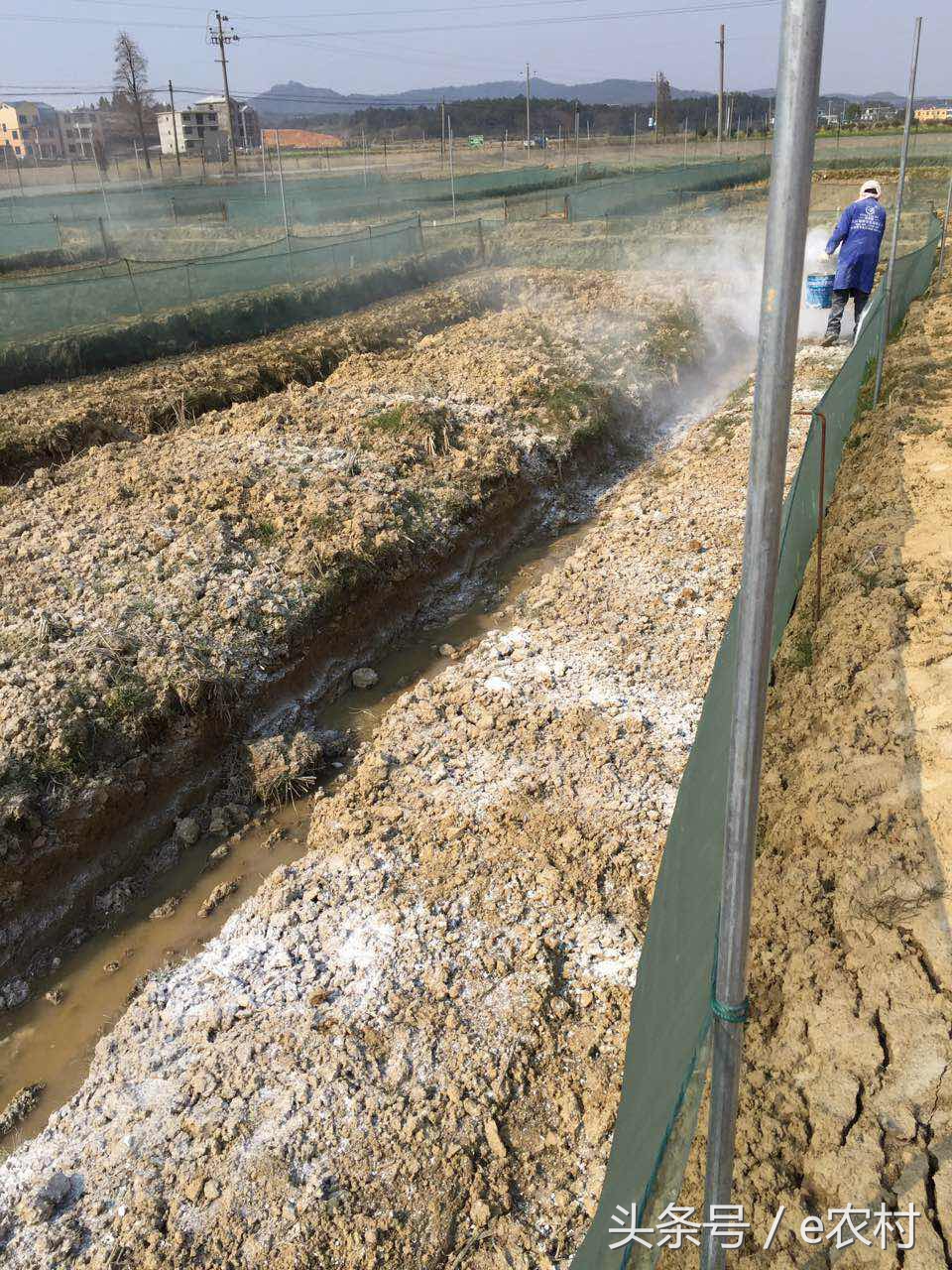 致富经养石蛙近期视频,cctv7致富经酿酒