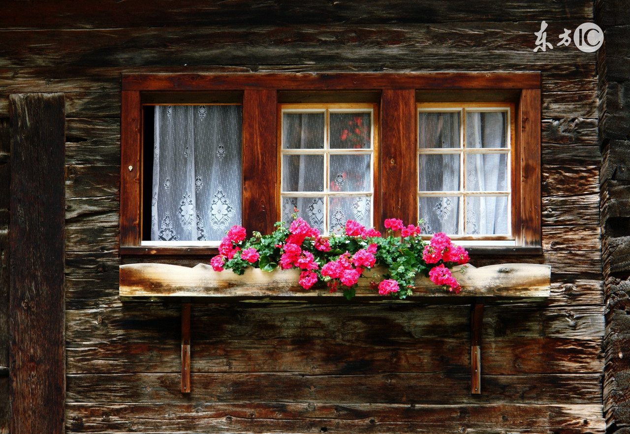 spend和costpay的区别,value和cost有什么区别