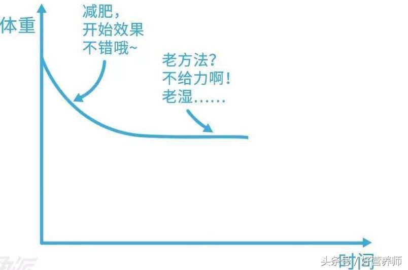 减肥困难怎么破解,减肥平台期怎样突破50天体重不变