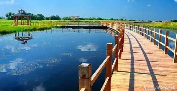 对不起，我要去黑龙江抚远了！