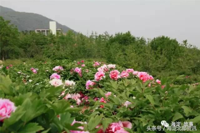 海淀最有文化气息的地方,海淀有文化底蕴的地方