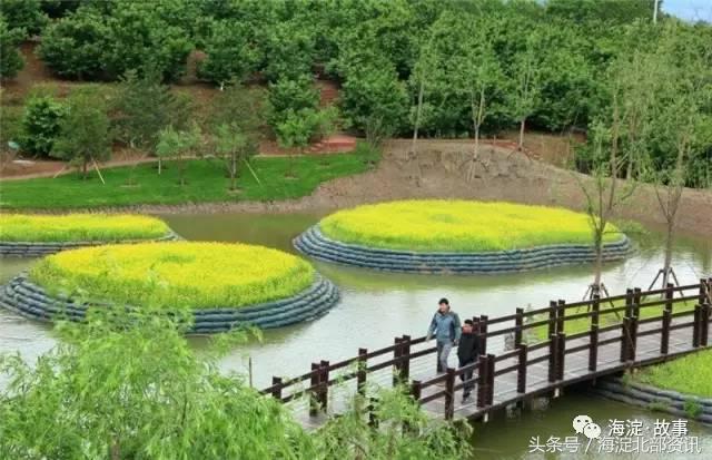 海淀最有文化气息的地方,海淀有文化底蕴的地方