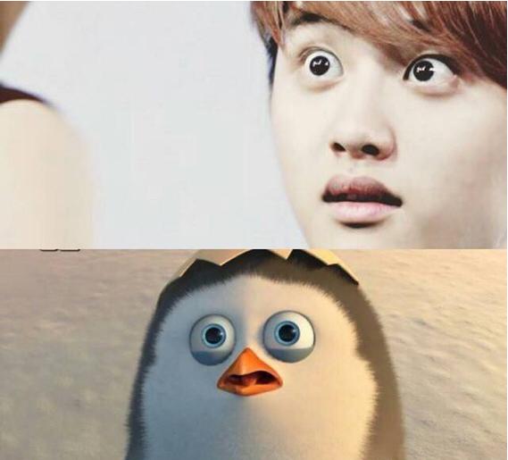 鹿晗的外号傻狍子是怎么来的,鹿晗傻狍子外号是什么