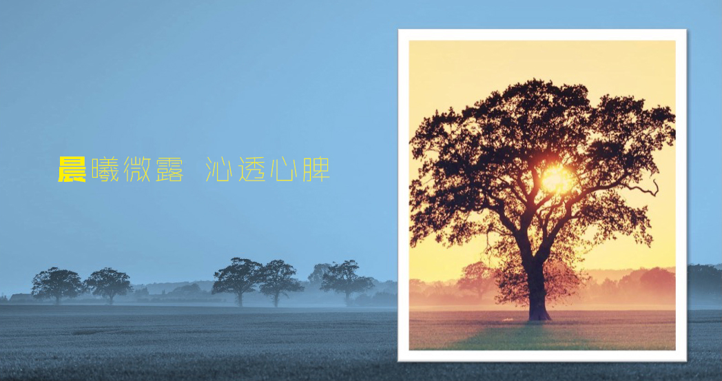 ppt里给图片加相框,如何在ppt图片上加相框