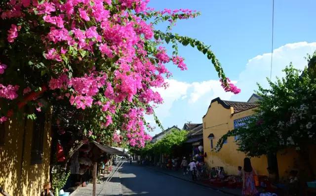 旅游所需的护照签证等申请攻略,出国旅游护照签证办理流程图