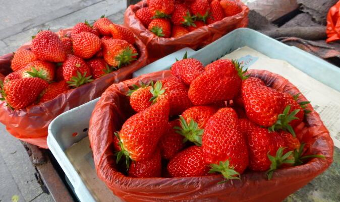 写个日志就把草莓卖了，你以为这一点都不神奇？