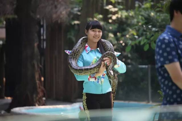 长隆半价|细数长隆里的女神之演员篇