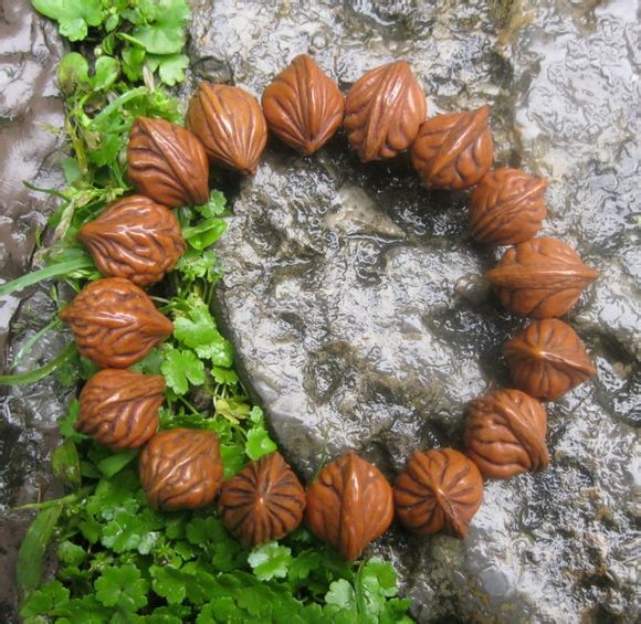 木质佛珠手串图片大全,女生可以戴的木质佛珠手串