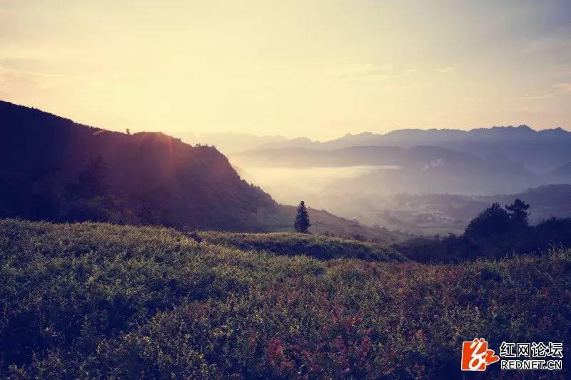 传说中的世外桃源：走进千年土家长寿村