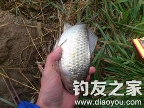 传统钓法中的钓浮详解