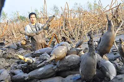 循香识味赏景尝鲜｜带你体验“活色生鲜”的江*风汉**情