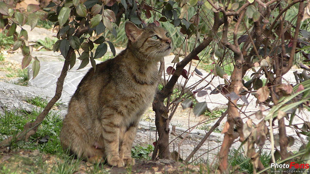 松下hc-vx980m使用说明,松下vx9804k测评