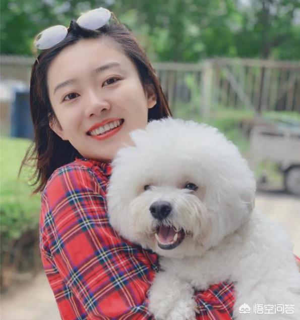 央视美女主持人全部名单,央视主持人美女大全