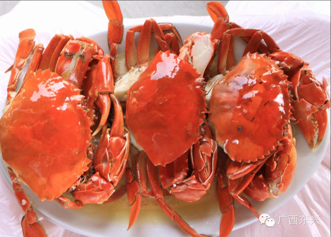 如何一天玩转东兴和越南,玩转东兴