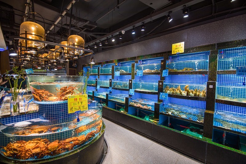 100元吃海鲜自助！不限量！敞开吃！红虾三文鱼象拔蚌银鳕鱼……我要把武林路这家海鲜渔市吃到空！