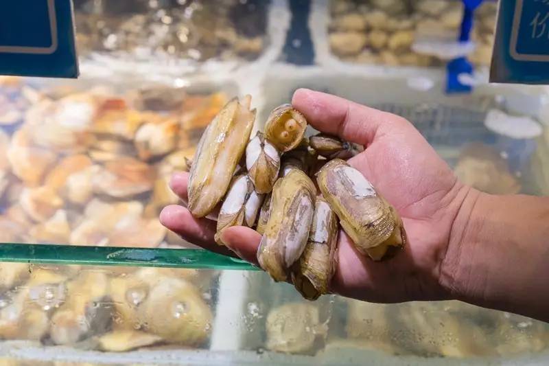 100元吃海鲜自助！不限量！敞开吃！红虾三文鱼象拔蚌银鳕鱼……我要把武林路这家海鲜渔市吃到空！