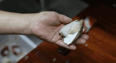 100元吃海鲜自助！不限量！敞开吃！红虾三文鱼象拔蚌银鳕鱼……我要把武林路这家海鲜渔市吃到空！