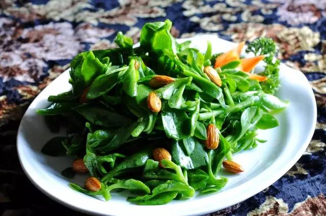 「百草园」那些“悬壶济世”的植物（十六）穿心莲