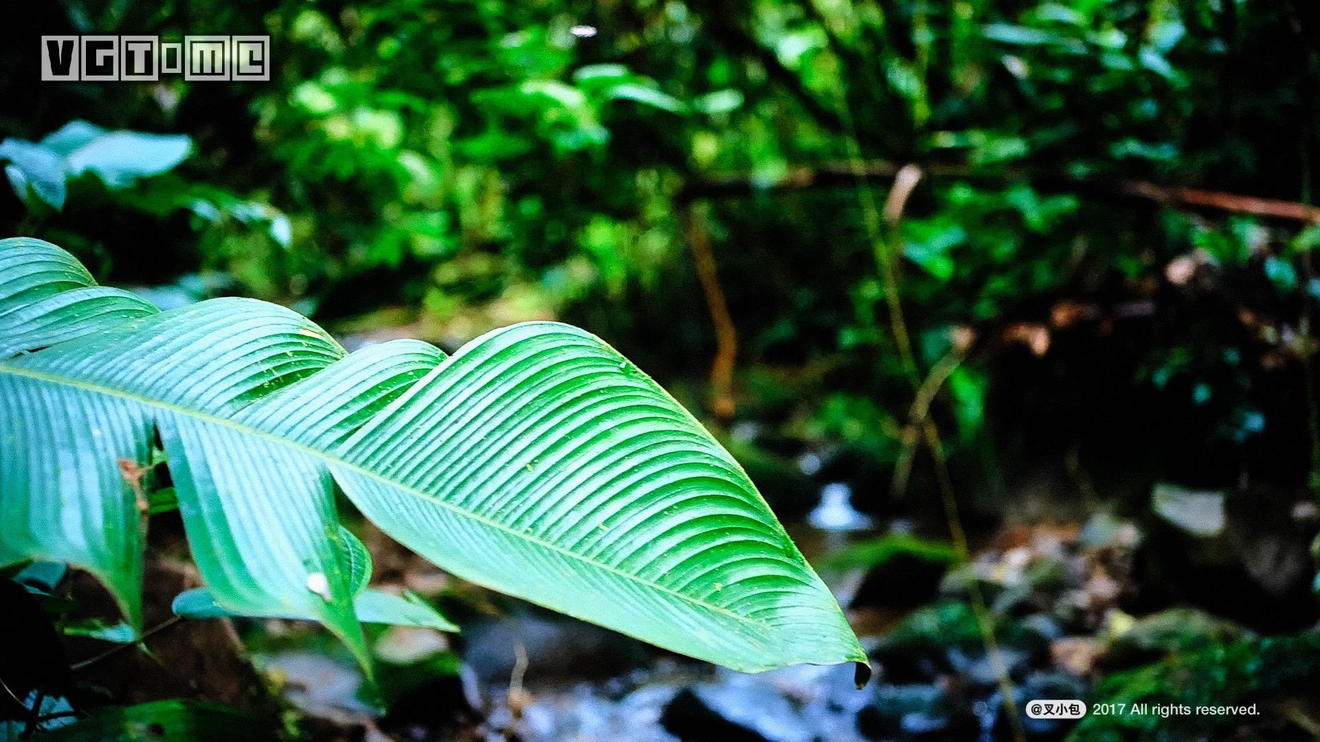 索尼最新75寸4k电视测评,索尼电视85寸电视系列深度评测