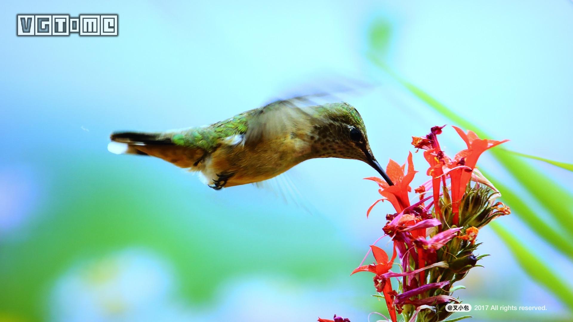 索尼最新75寸4k电视测评,索尼电视85寸电视系列深度评测