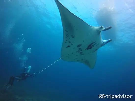 最适合度假的海岛小众,最适合度假的小众海岛