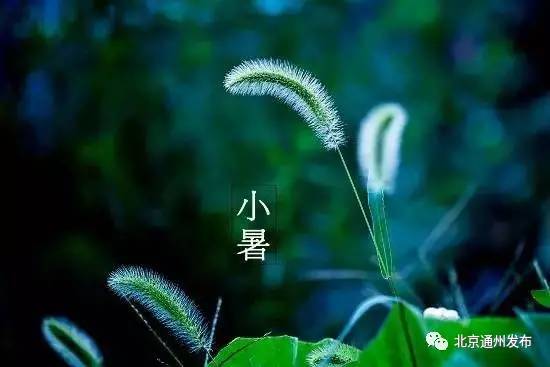 今日小暑！周末桑拿天！下周通州这些地方要停电！