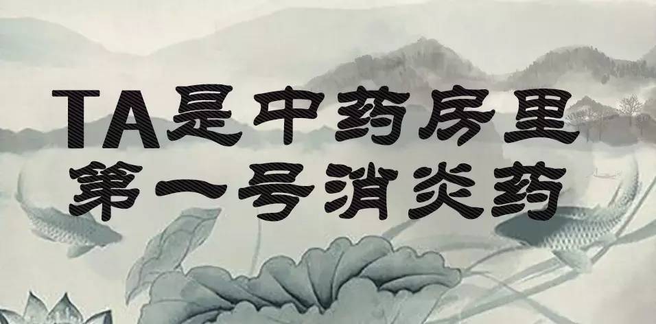 「百草园」那些“悬壶济世”的植物（十六）穿心莲