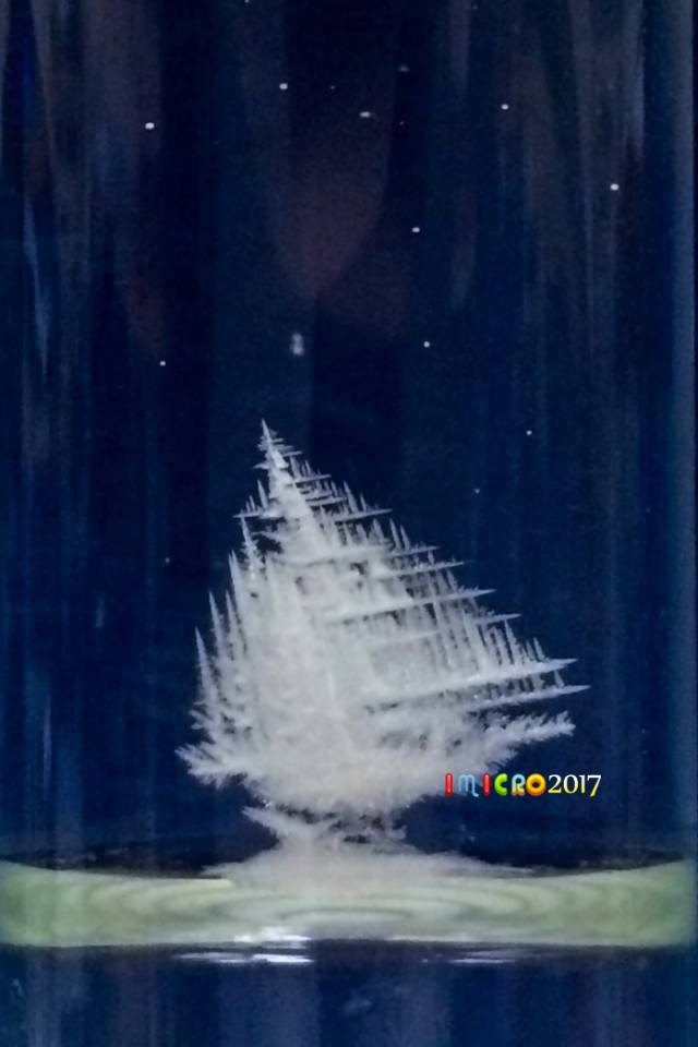 微观星球显微镜下的奇妙世界,显微镜下的奇妙世界视频