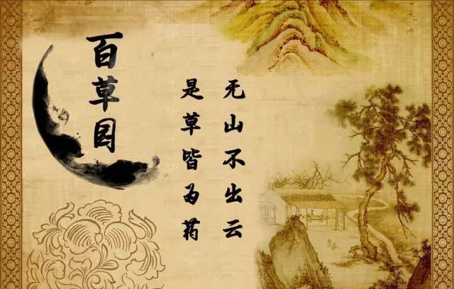 「百草园」那些“悬壶济世”的植物（十六）穿心莲