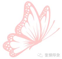 张钢张铁,张钢真实照片大全