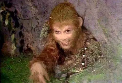 西游记中的你们看懂了什么,西游记中的名梗