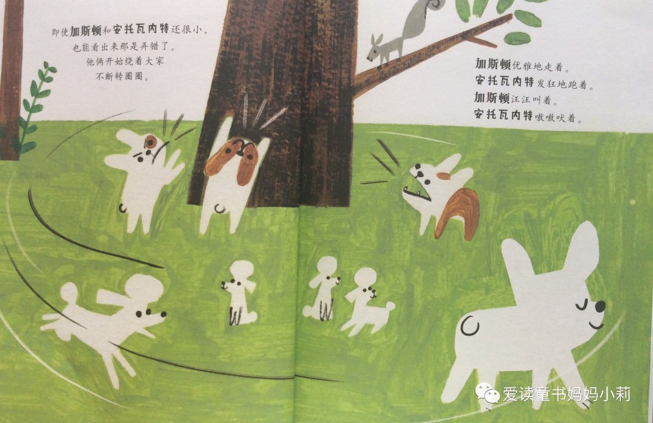 农场主，家庭主妇，音乐家，巴菲特为什么不让孩子继承自己的商业帝国