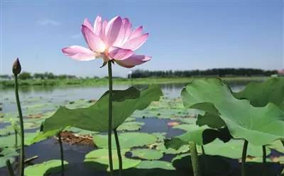 银川最近最火的新闻,银川最近火爆的新闻