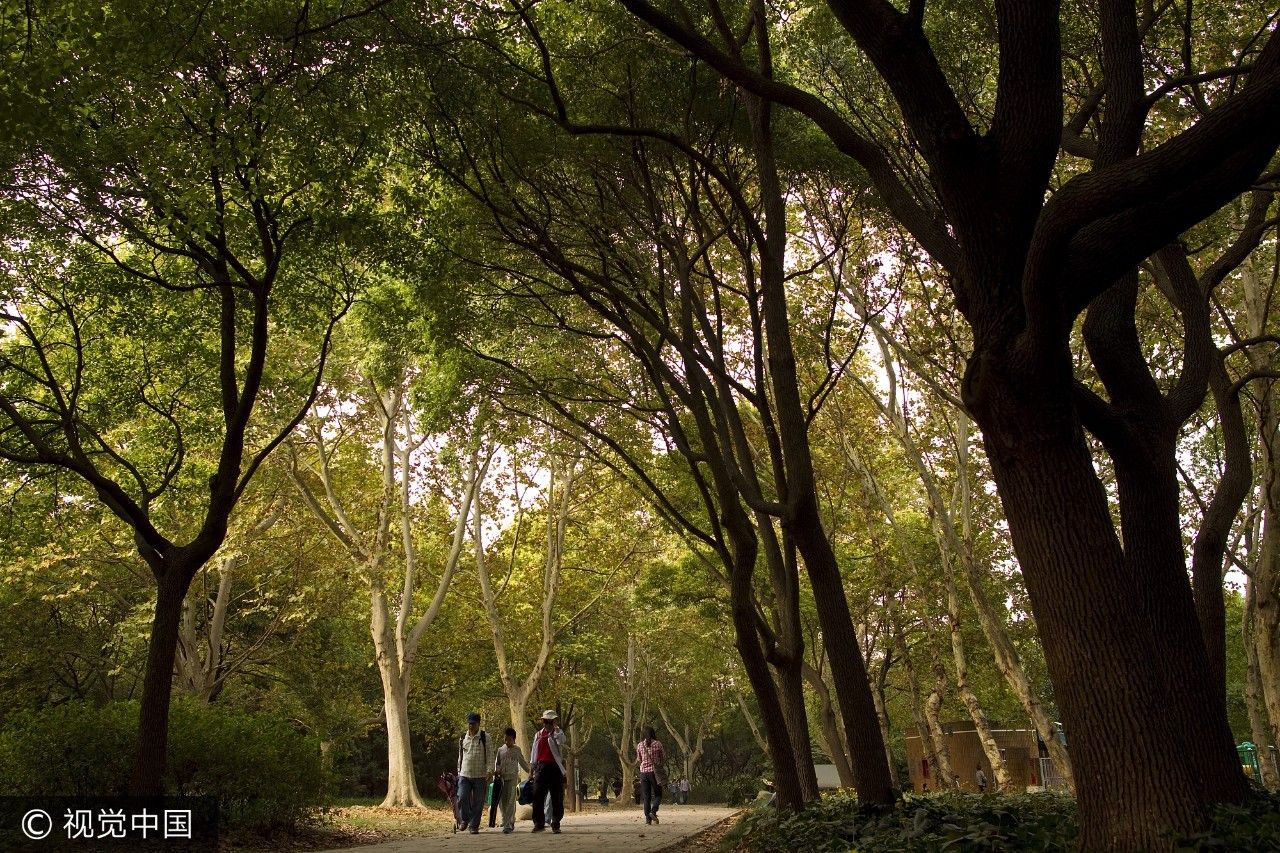 上海人家的位置,上海周边免费的避暑之地